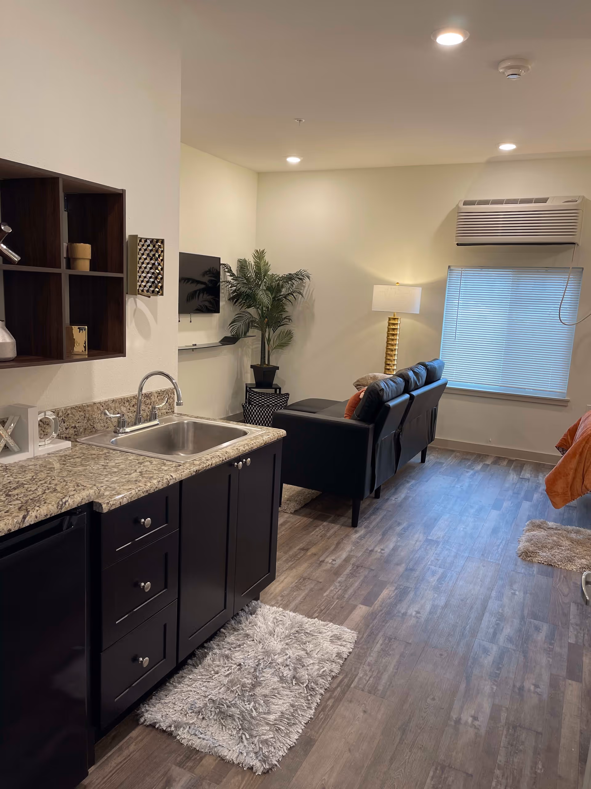 Interior view of a senior living facility room featuring a kitchenette with a sink and dark cabinets on the left, a small black couch with pillows, a tall floor lamp, a potted plant, a wall-mounted TV, and a window with blinds. The room has wood-style flooring and light-colored walls.