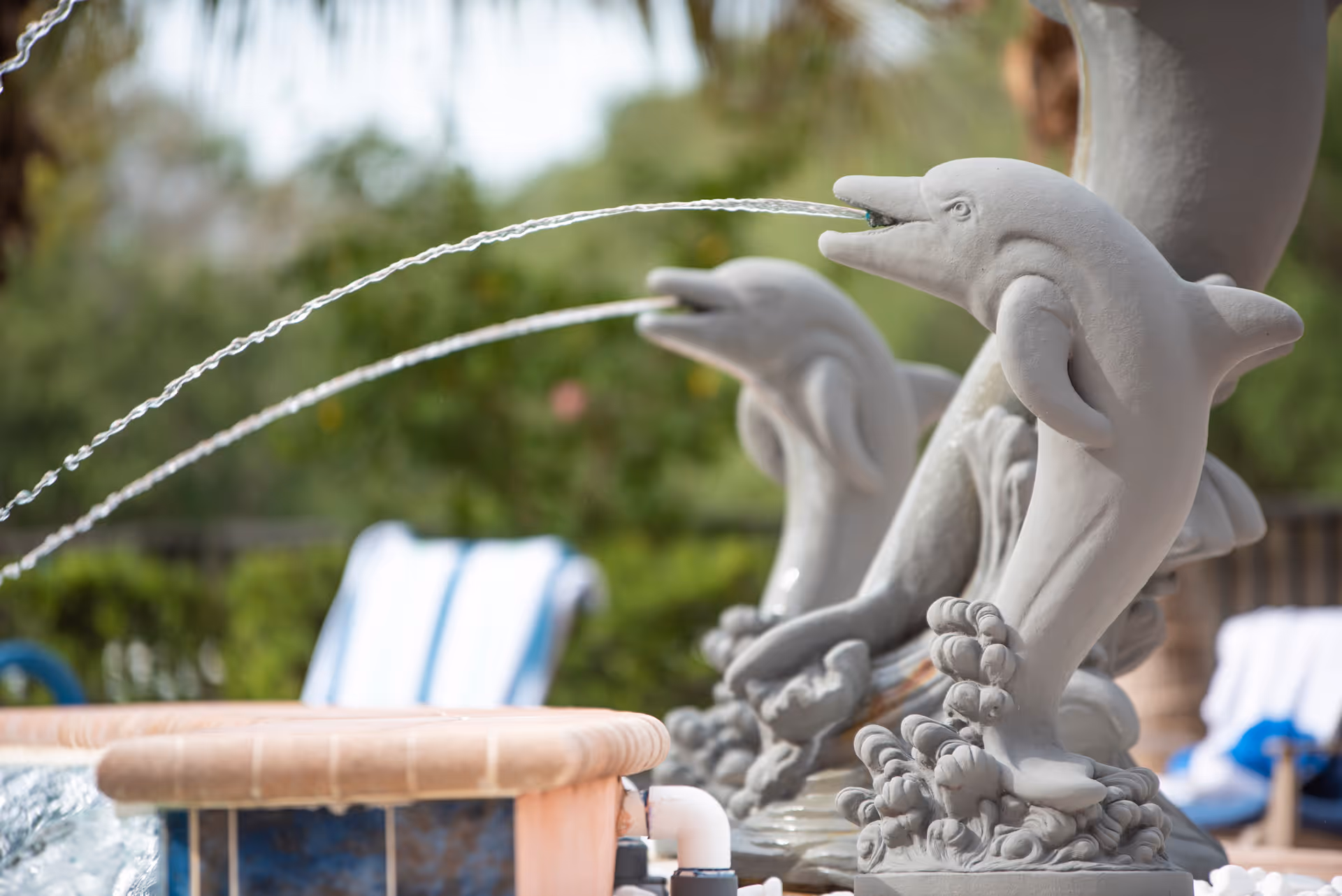 Close-up view of dolphin-shaped water fountains spouting streams of water into a pool, with blurred outdoor greenery and lounge chairs in the background.