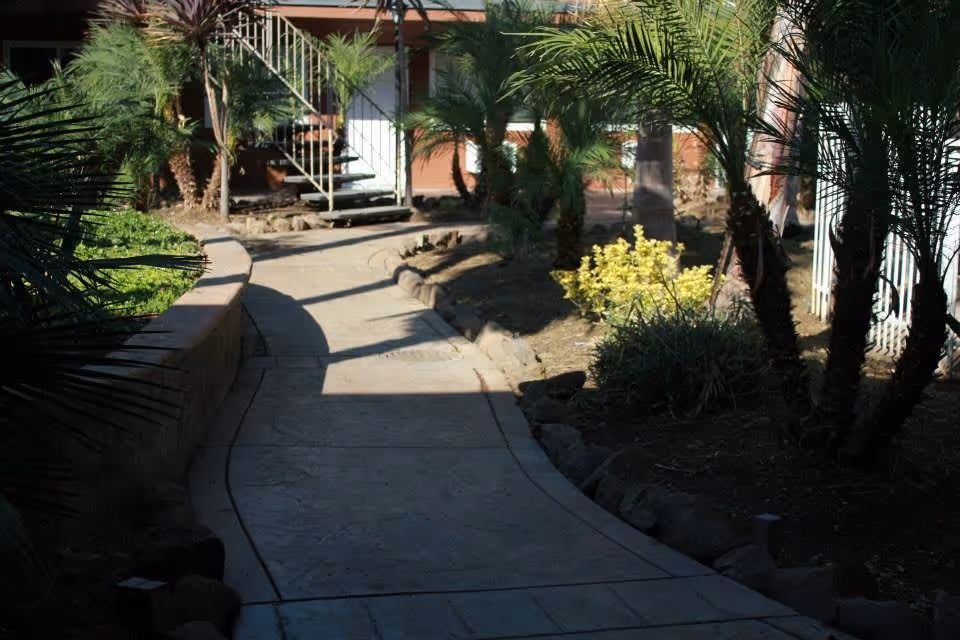 Curved concrete pathway surrounded by landscaped garden beds with palm trees and shrubs, leading to a building entrance with a staircase and railing.