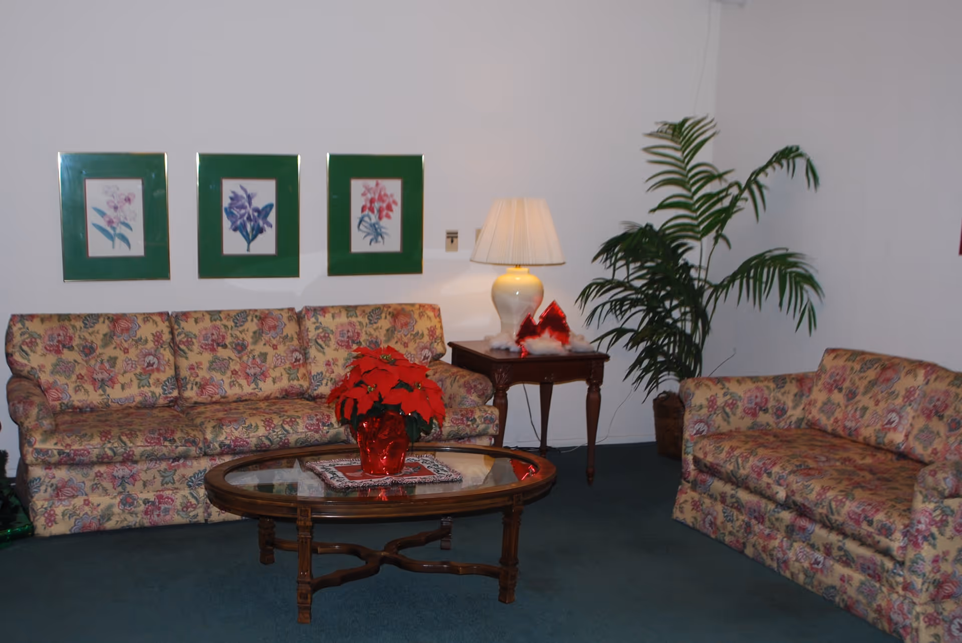 A living room with two floral patterned sofas, a glass-top wooden coffee table with a red poinsettia plant in the center, a side table with a white lamp and holiday decorations, three framed floral pictures on the wall, and a large potted plant in the corner.