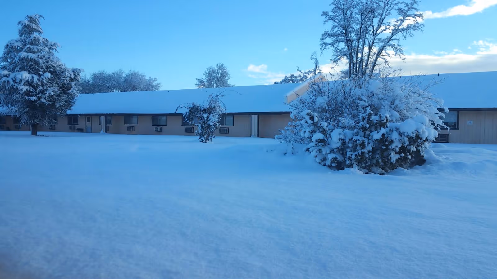Single-story building with a snow-covered roof and air conditioning units under the windows, surrounded by snow-covered bushes and trees under a clear blue sky.