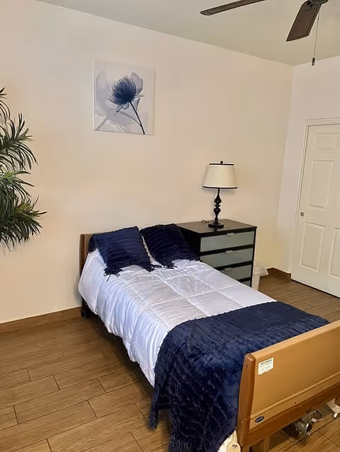 A small bedroom with a single bed made with white bedding and dark blue pillows and blanket. Next to the bed is a black nightstand with a lamp on it. There is a plant in the corner and a framed flower artwork on the wall. The floor is wooden and there is a white door in the background.