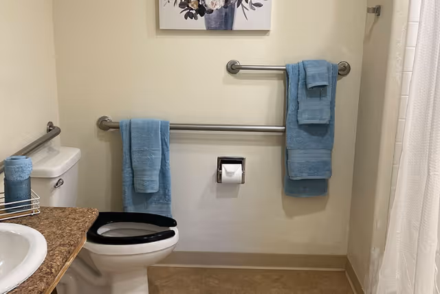 Accessible bathroom with a toilet (black raised seat), sink countertop, grab bars, blue towels, and a shower curtain.