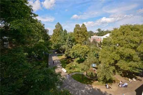 A sunny courtyard with trees, walkways, and residents seated outdoors.