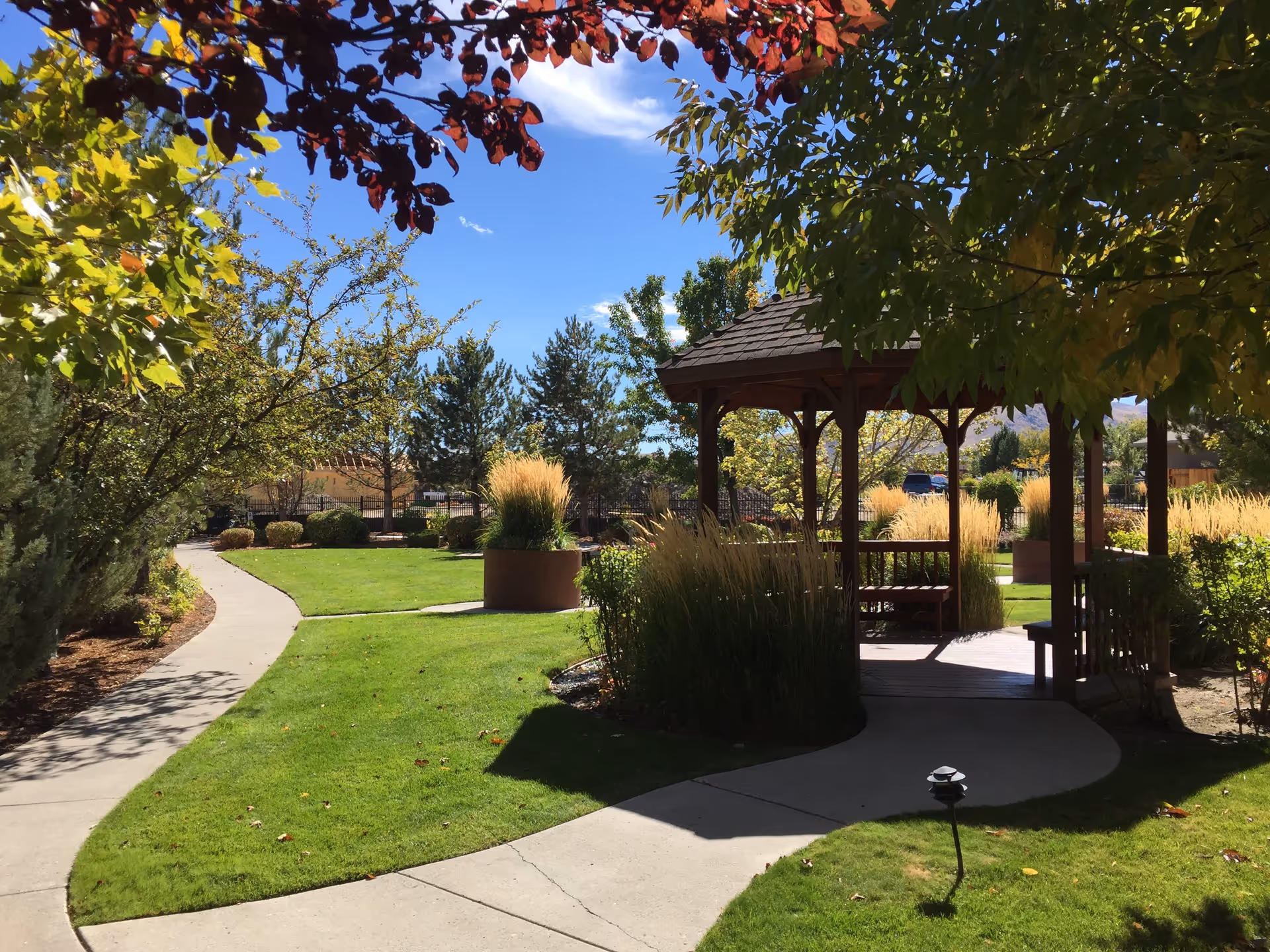Sunny landscaped courtyard with a wooden gazebo, winding concrete paths, lawns, ornamental grasses, and trees.