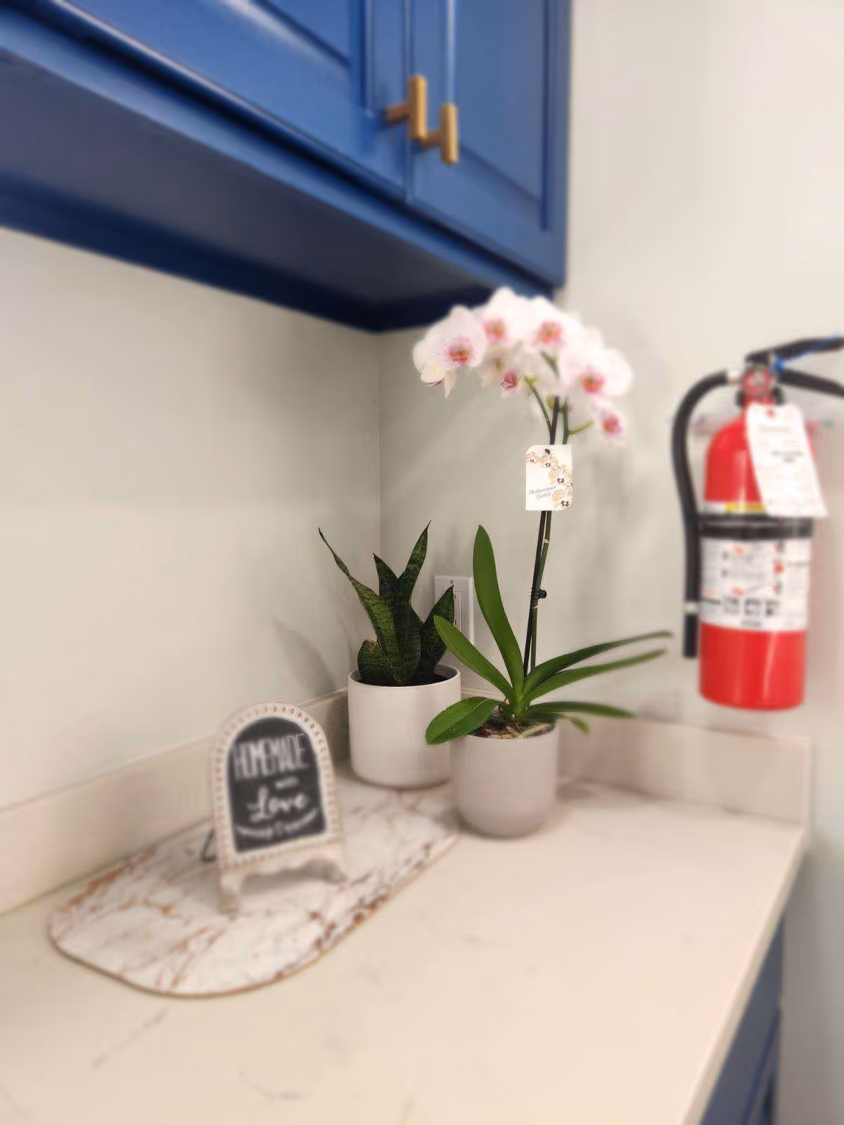 A kitchen countertop with two potted plants, one with green leaves and the other with white and pink flowers. There is a small decorative sign that says 'Home made with Love' on a marble-patterned mat. Above the countertop are blue cabinets with gold handles. A red fire extinguisher is mounted on the wall to the right.
