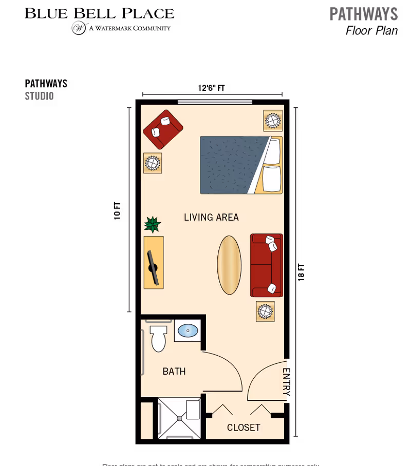 Floor plan of a studio apartment at Blue Bell Place showing a living area with a bed, sofa, coffee table, armchair, TV stand with a TV, and plants. The plan also includes a bathroom with a toilet, sink, and shower, and a closet near the entry door.