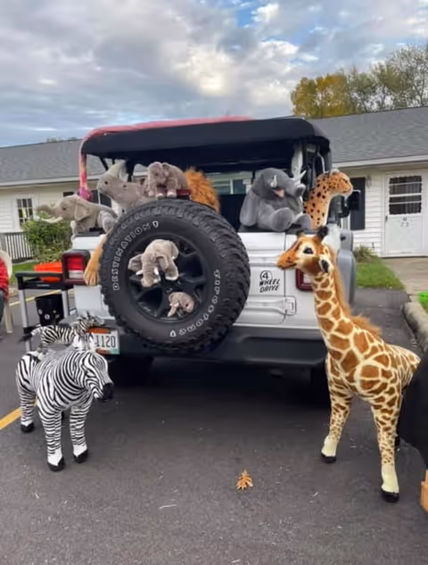 Rear view of a white Jeep with a black soft top parked outside a building. The Jeep's spare tire is mounted on the back and surrounded by various stuffed animal toys including elephants, a lion, a rhinoceros, and a cheetah. On the ground near the Jeep are large stuffed zebra and giraffe toys. The background shows a white building with a door and windows under a partly cloudy sky.