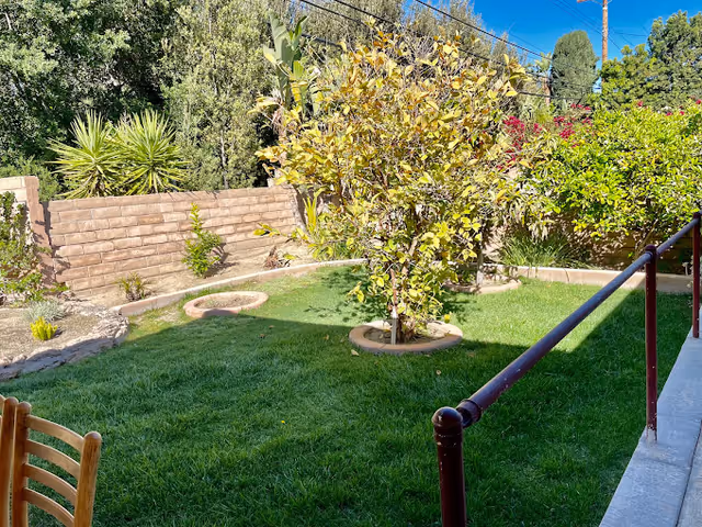 A sunny outdoor garden area with green grass, several small trees planted in circular soil beds, a brick wall in the background, and a metal railing along a concrete pathway on the right side. Part of a wooden chair is visible in the bottom left corner.