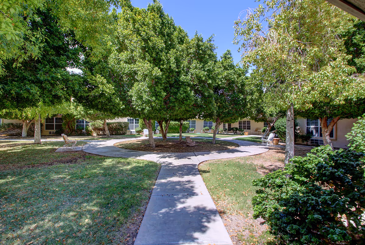 Sunlit courtyard with a curved concrete path, shaded trees, benches, and surrounding single-story senior living building.
