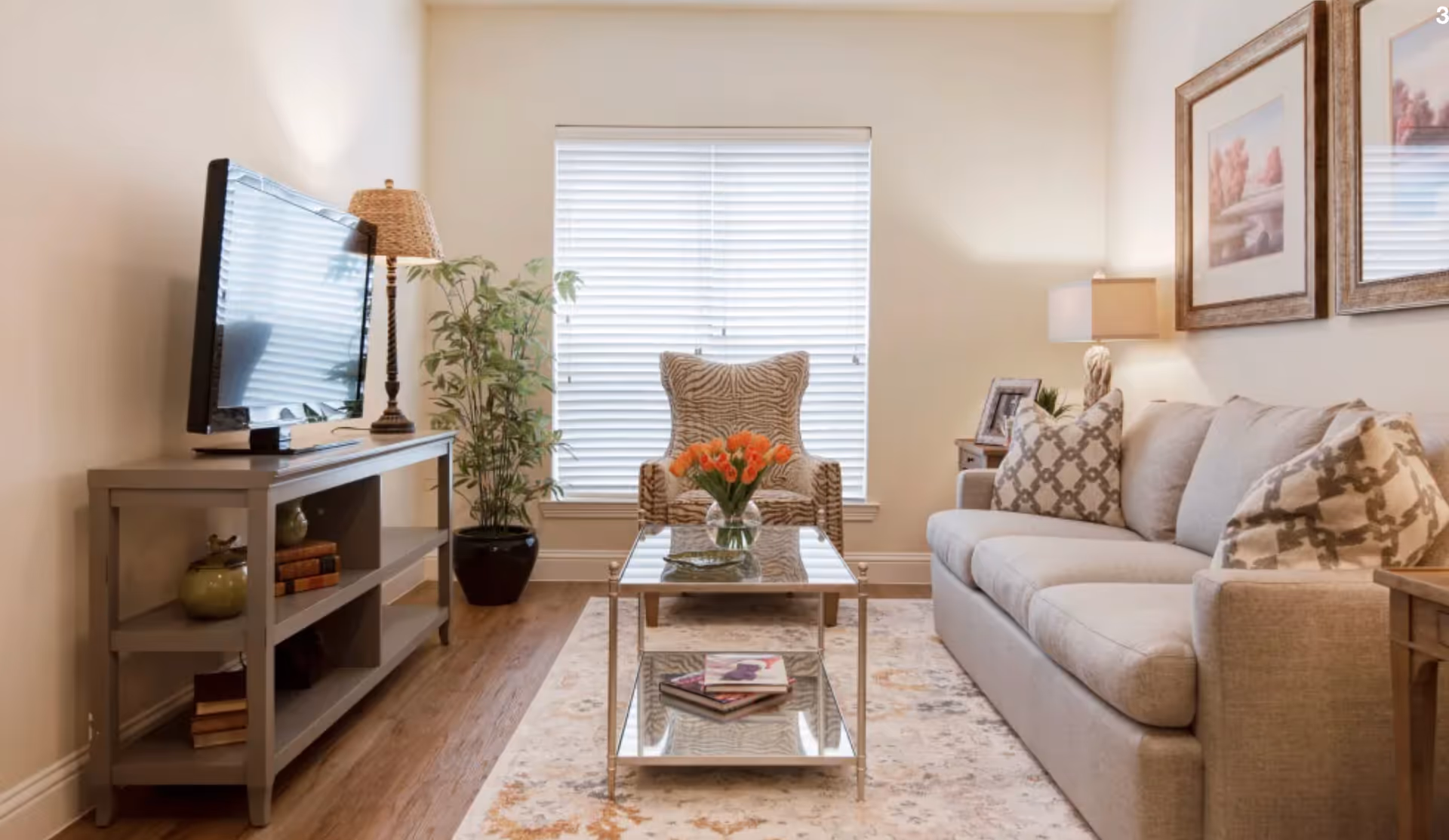 A cozy living room with a beige sofa adorned with patterned pillows, a glass coffee table with a vase of orange tulips and books underneath, a patterned armchair in front of a window with white blinds, a TV on a gray console table, a floor lamp, a potted plant, and two framed landscape paintings on the wall.