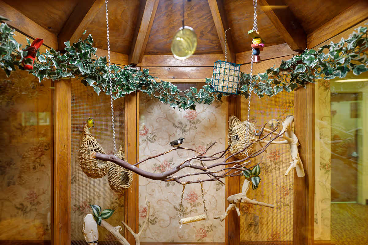 Indoor wooden bird aviary with hanging woven nests, branches, faux ivy and small decorative birds.