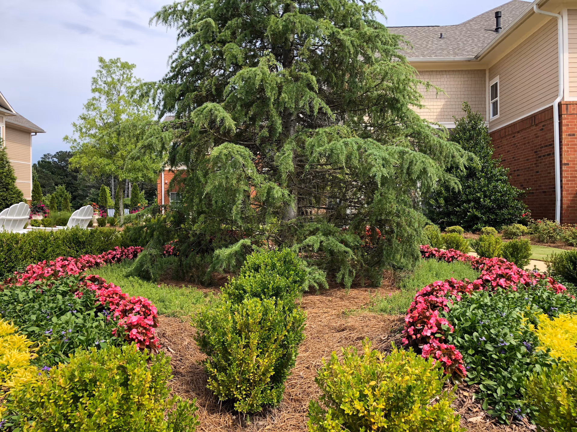 Landscaped courtyard with a large evergreen tree, pink flower beds and seating in front of a retirement community building.