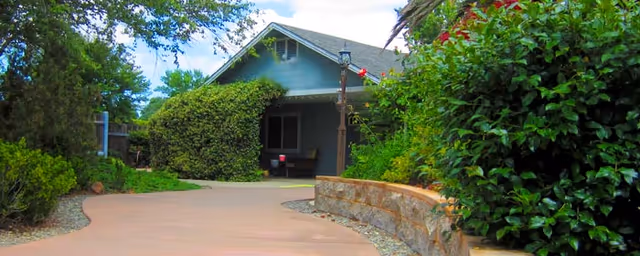 A paved driveway leading to a house partially covered with greenery, surrounded by bushes and trees, with a stone retaining wall on the right side.