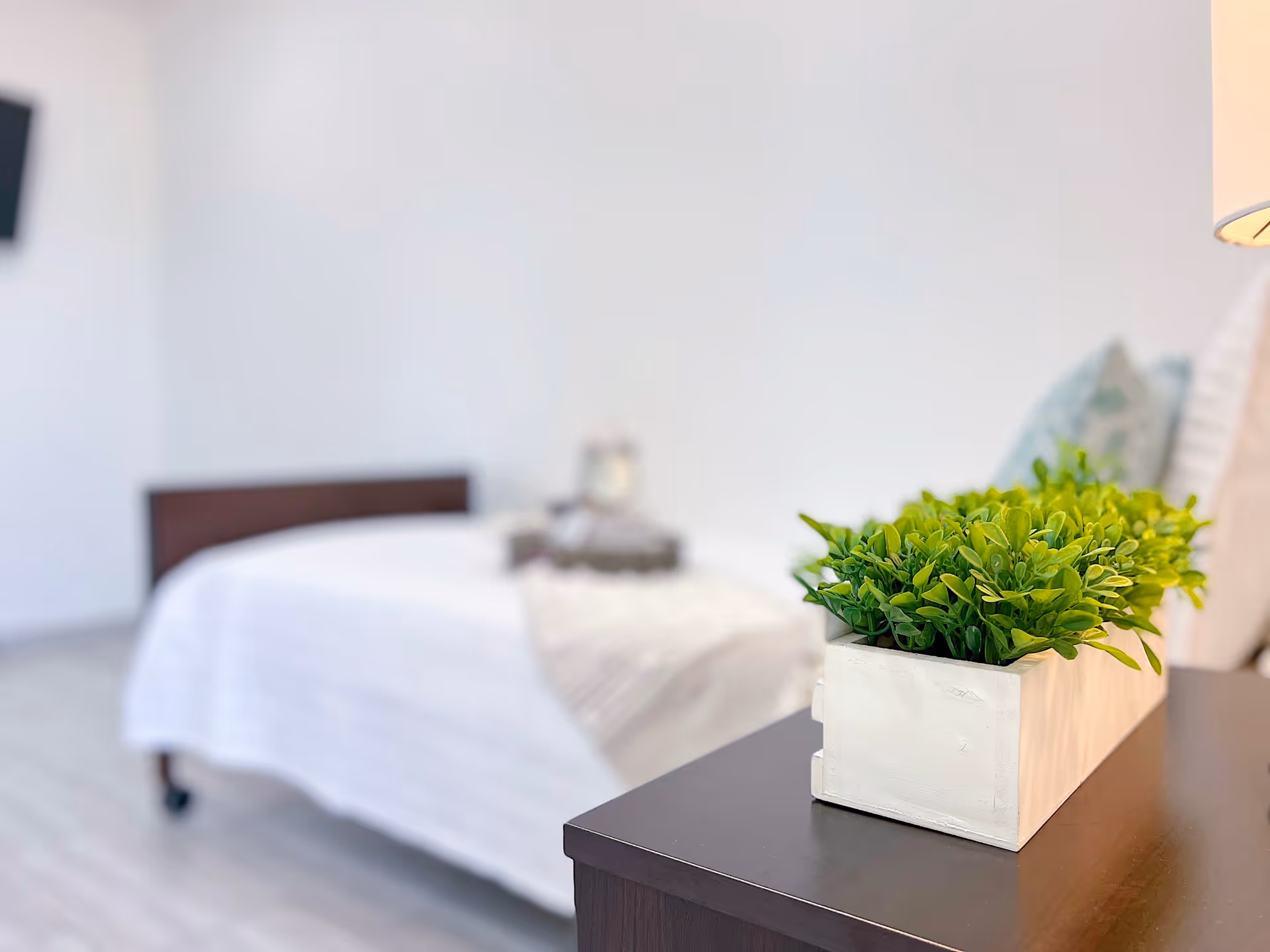 A close-up view of a green potted plant in a white rectangular planter placed on a dark wooden bedside table. In the background, there is a bed with white bedding and a blurred wall-mounted TV on a light-colored floor.