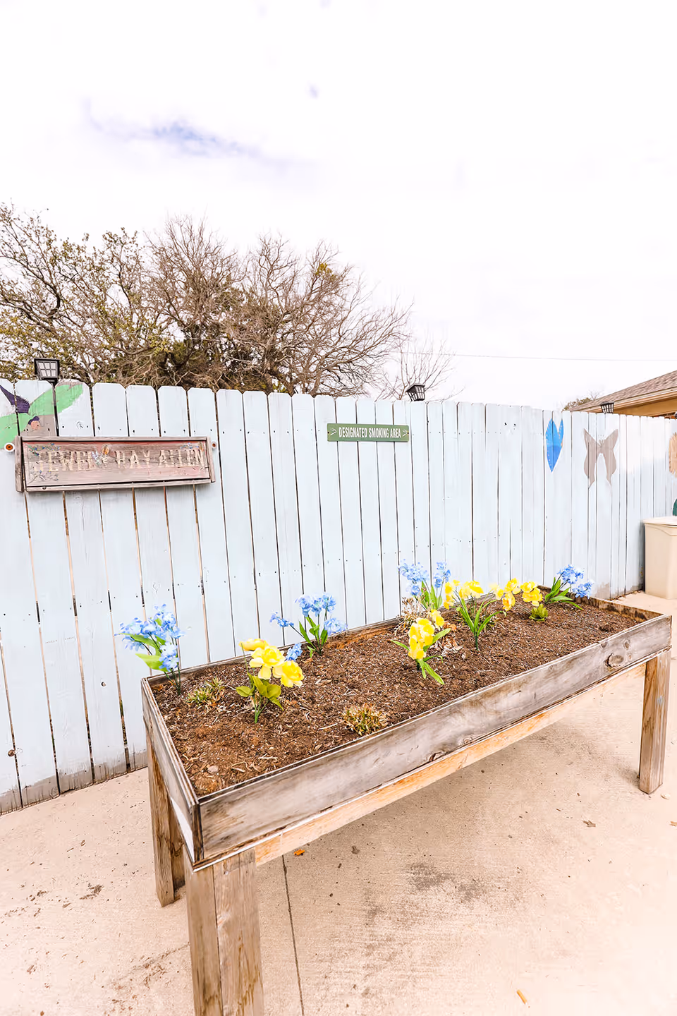 Raised wooden planter box with yellow and blue flowers in front of a light blue painted fence under a cloudy sky.