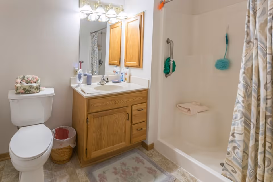 Small senior-friendly bathroom with a toilet, wooden vanity and sink under a mirror, and a walk-in shower with grab bar and patterned shower curtain.