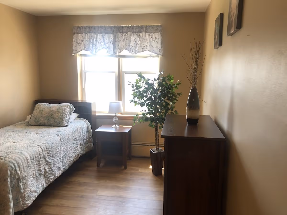 Small furnished bedroom with a single bed, nightstand and lamp, dresser, and a potted plant by a window with a valance.