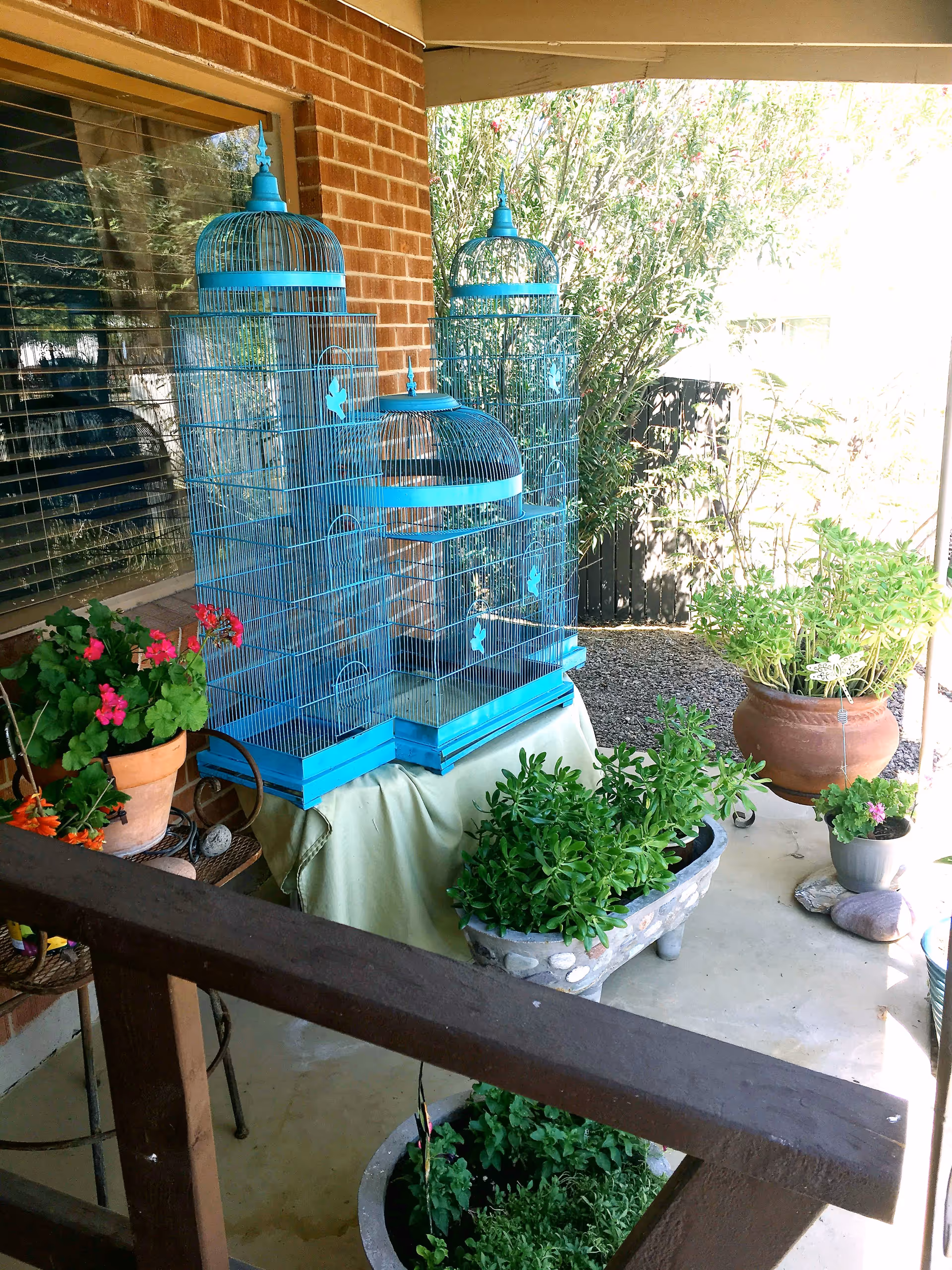 A covered outdoor patio area with several potted plants and three large blue birdcages placed on a table covered with a cloth. The patio has a brick wall with a window and a wooden railing in the foreground.