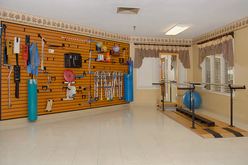 A therapy or rehabilitation room with various exercise and mobility aids hanging on a wooden slat wall, including walkers, canes, and exercise balls. There is a parallel bar setup for walking exercises near windows with plaid valance curtains.