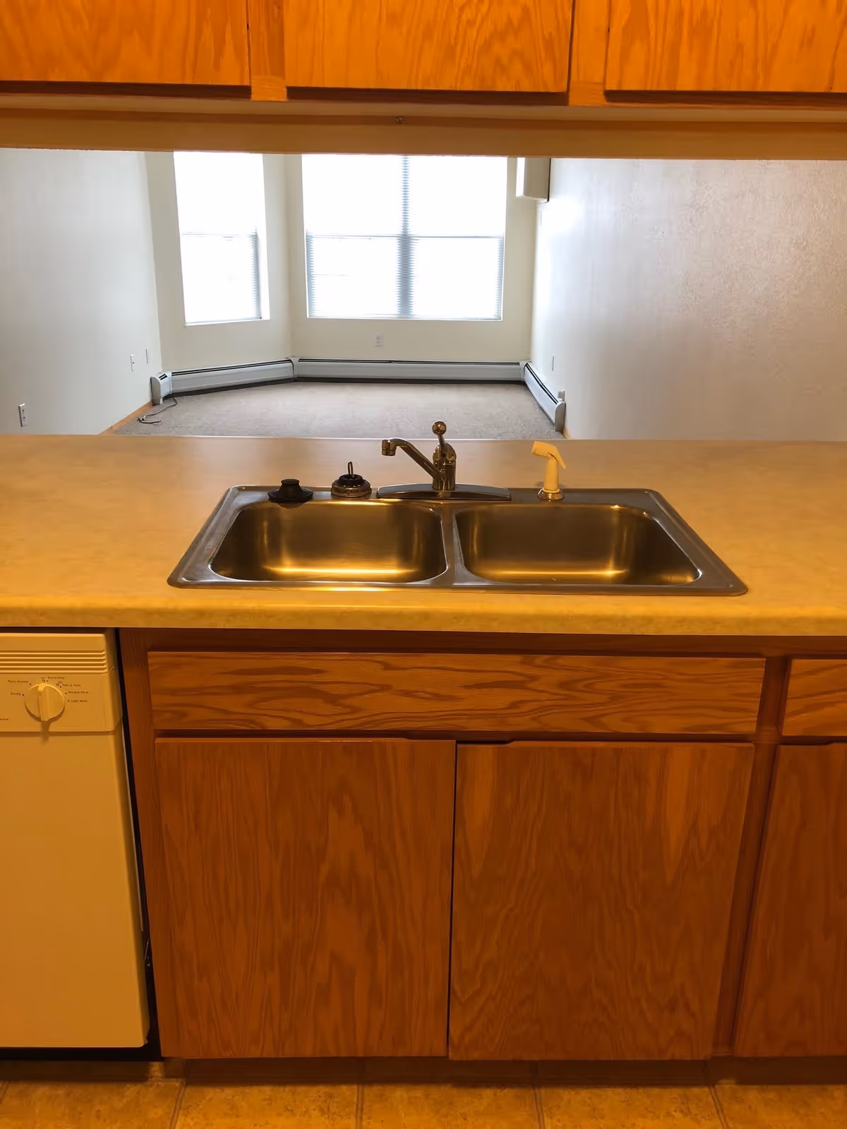 View of a kitchen sink with a double basin and faucet, set in a countertop with wooden cabinets below. In the background, there is an empty living room area with carpeted floor and large windows letting in natural light.