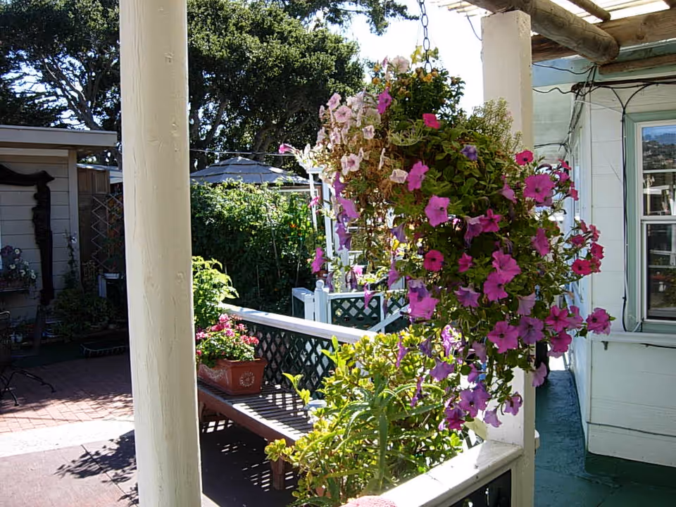 A bright outdoor patio area with hanging baskets of pink and purple flowers, a wooden bench with potted plants, white pillars, and greenery in the background under a clear sky.