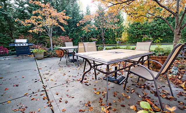 Outdoor patio area with a rectangular table and several chairs on a concrete surface, surrounded by potted plants and trees with autumn foliage. A barbecue grill is visible in the background.