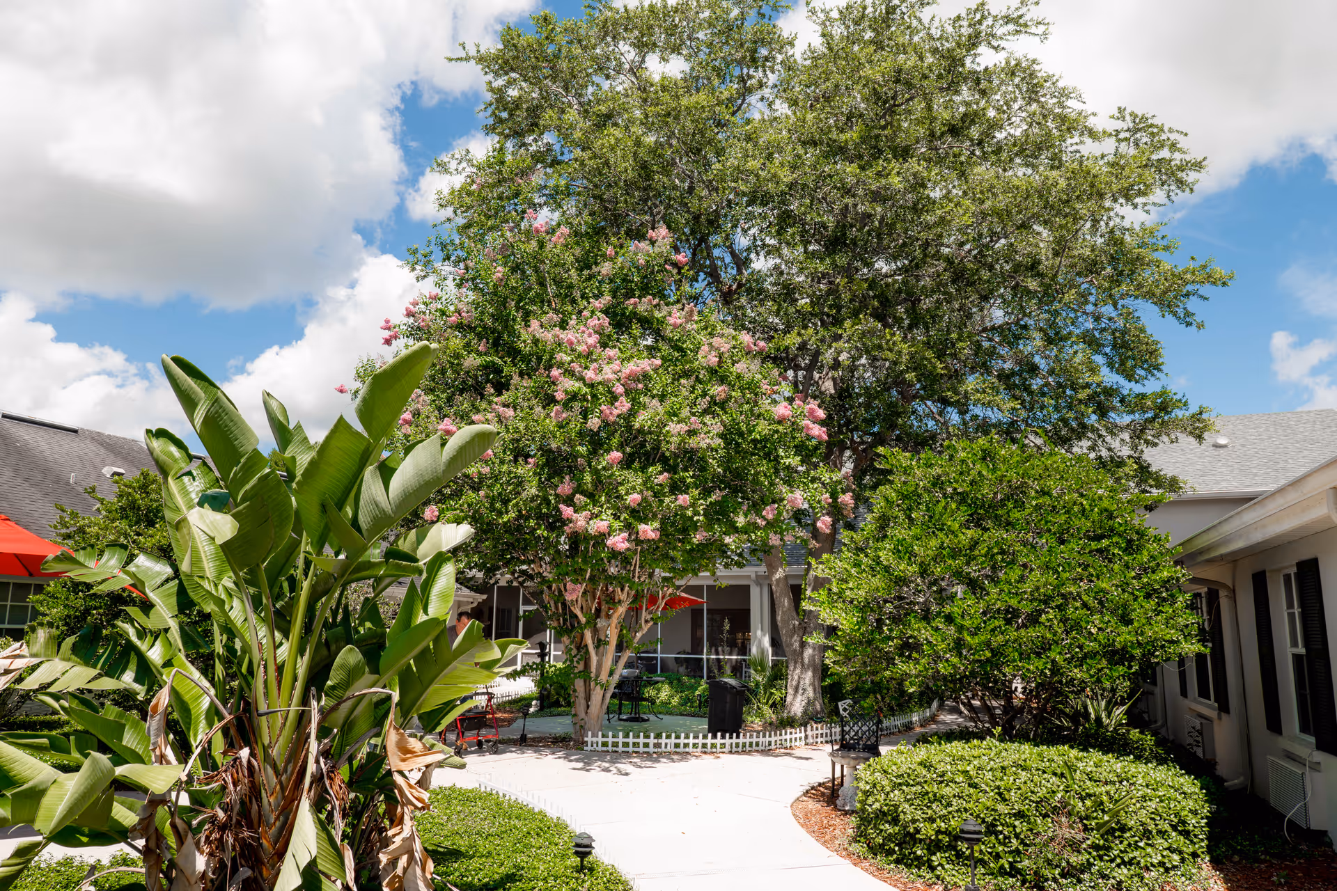 Outdoor courtyard area with lush green plants, a tree with pink flowers, and a paved walkway surrounded by bushes and shrubs under a partly cloudy sky.