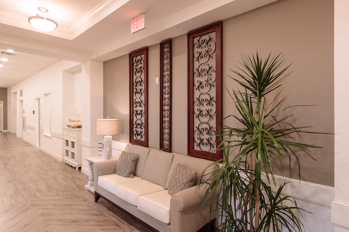Well-lit seating area in a senior living facility hallway with a beige sofa, side table and lamp, decorative wall panels and a tall potted plant.