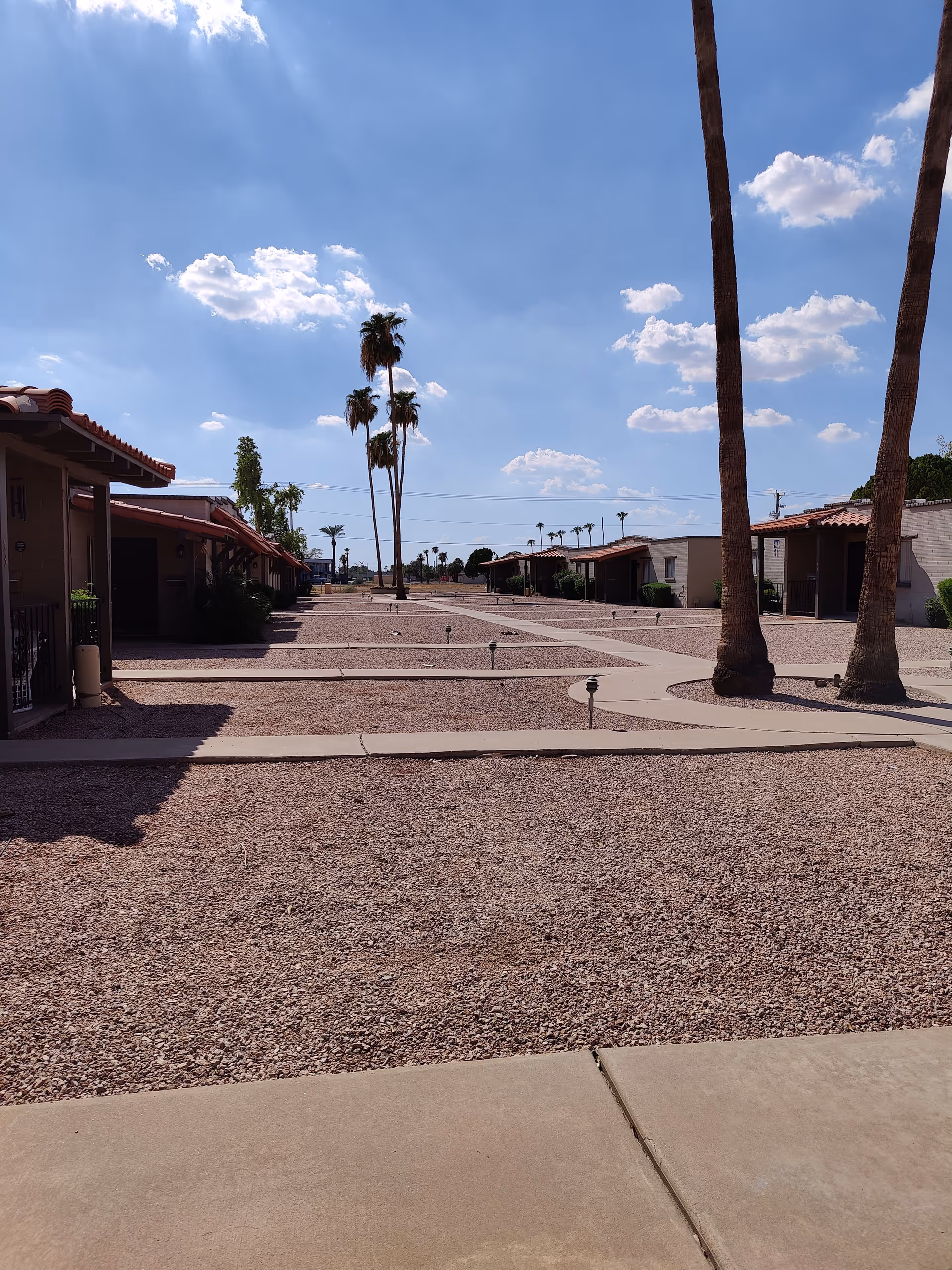 Gravel courtyard with walkways, tall palm trees and single-story apartment buildings under a blue sky.