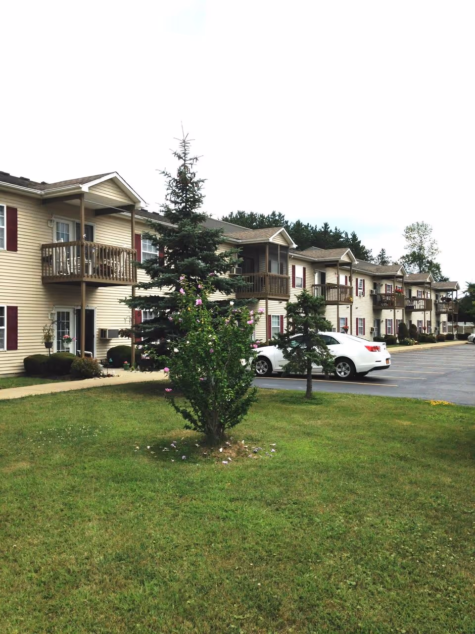 Exterior view of Seneca Pointe Senior Apartments showing a two-story beige building with balconies, a green lawn with small trees and flowering bushes, and a parking lot with a white car.