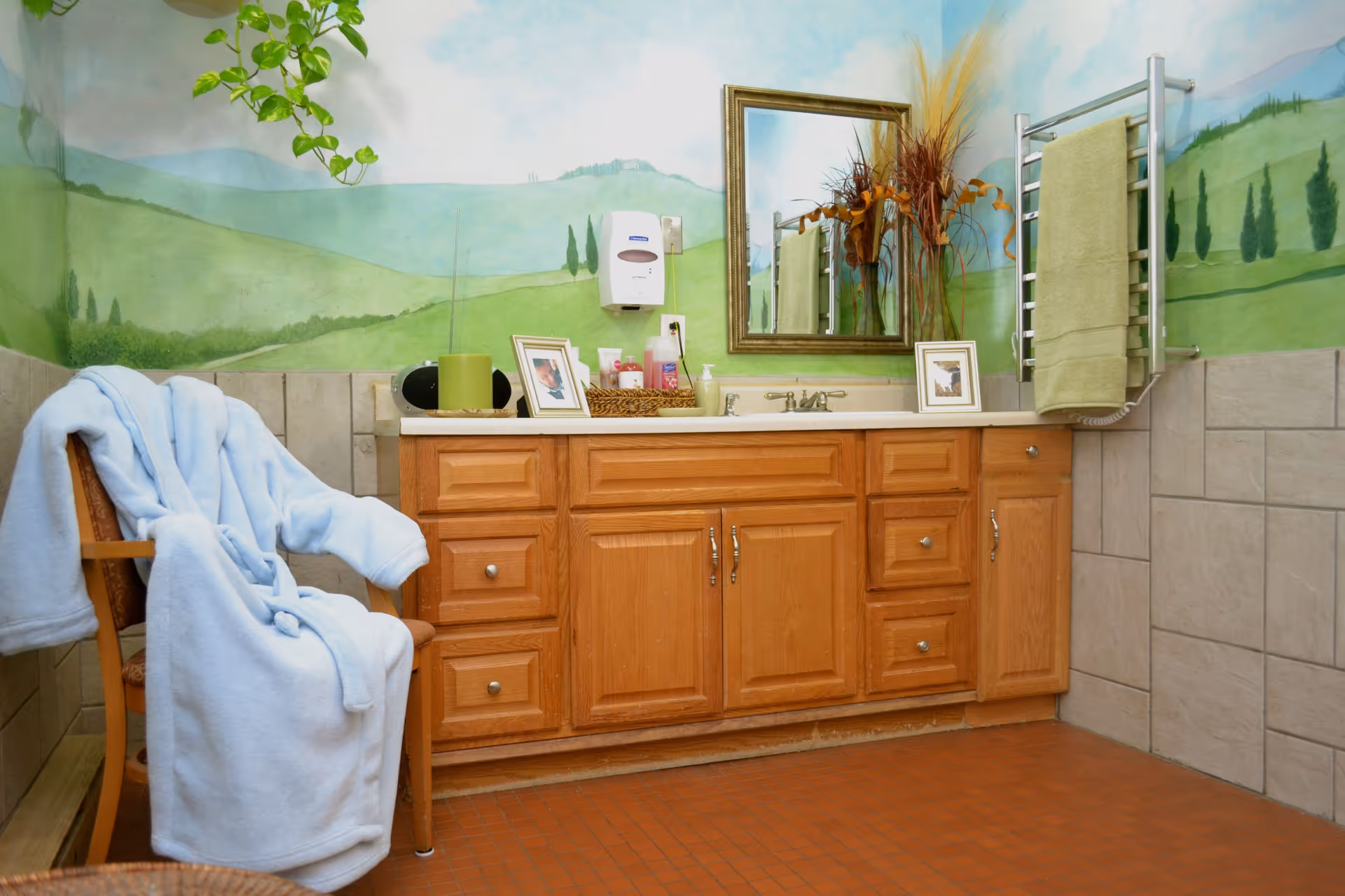 Bathroom with wooden vanity cabinet, a mirror above the sink, a towel rack with a green towel, and a chair draped with a light blue robe. The walls have a mural of green hills and trees.