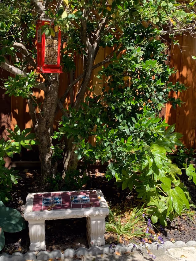 A small garden area with a decorative stone bench featuring a tiled top, surrounded by green leafy plants and a tree. A red bird feeder hangs from a branch of the tree, and a wooden fence is visible in the background.