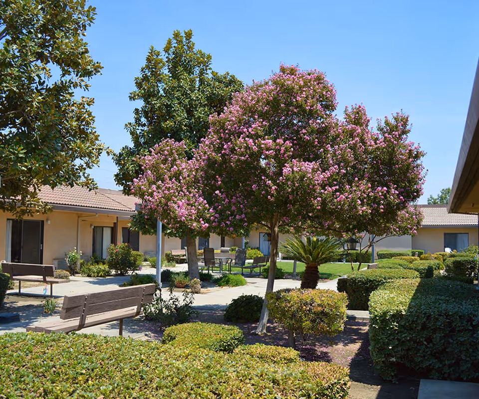 Sunny courtyard with a pink-flowering tree, benches, manicured shrubs, and single-story buildings with patio doors.