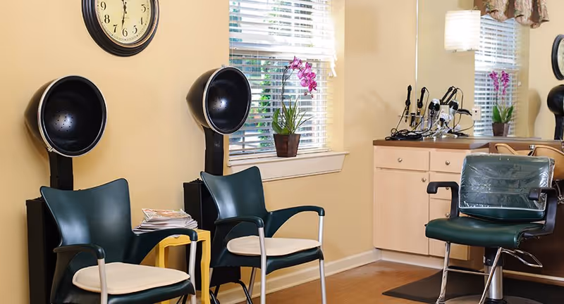 Interior of a salon area with two black hair dryer chairs, a salon chair with green upholstery and plastic cover, a countertop with hair styling tools, a window with blinds and a potted orchid, and a wall clock.