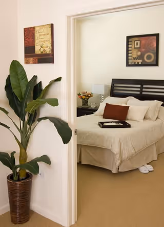 View through an open doorway into a bedroom with a neatly made bed featuring white bedding and a brown accent pillow. A black tray is placed on the bed. There is a nightstand with a lamp and a vase of flowers next to the bed. On the wall above the bed hangs a framed abstract artwork. In the foreground, a large potted plant is positioned against a white wall with a decorative framed picture above it.