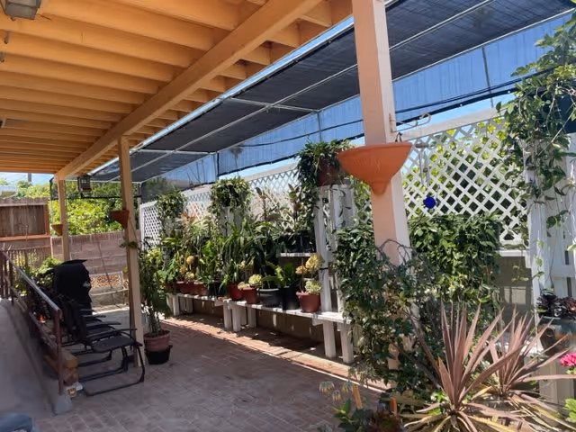 Covered outdoor patio area with a variety of potted plants arranged on benches and hanging from the lattice walls. There are several chairs lined up along the left side under a wooden pergola roof, with sunlight filtering through the overhead shade cloth.