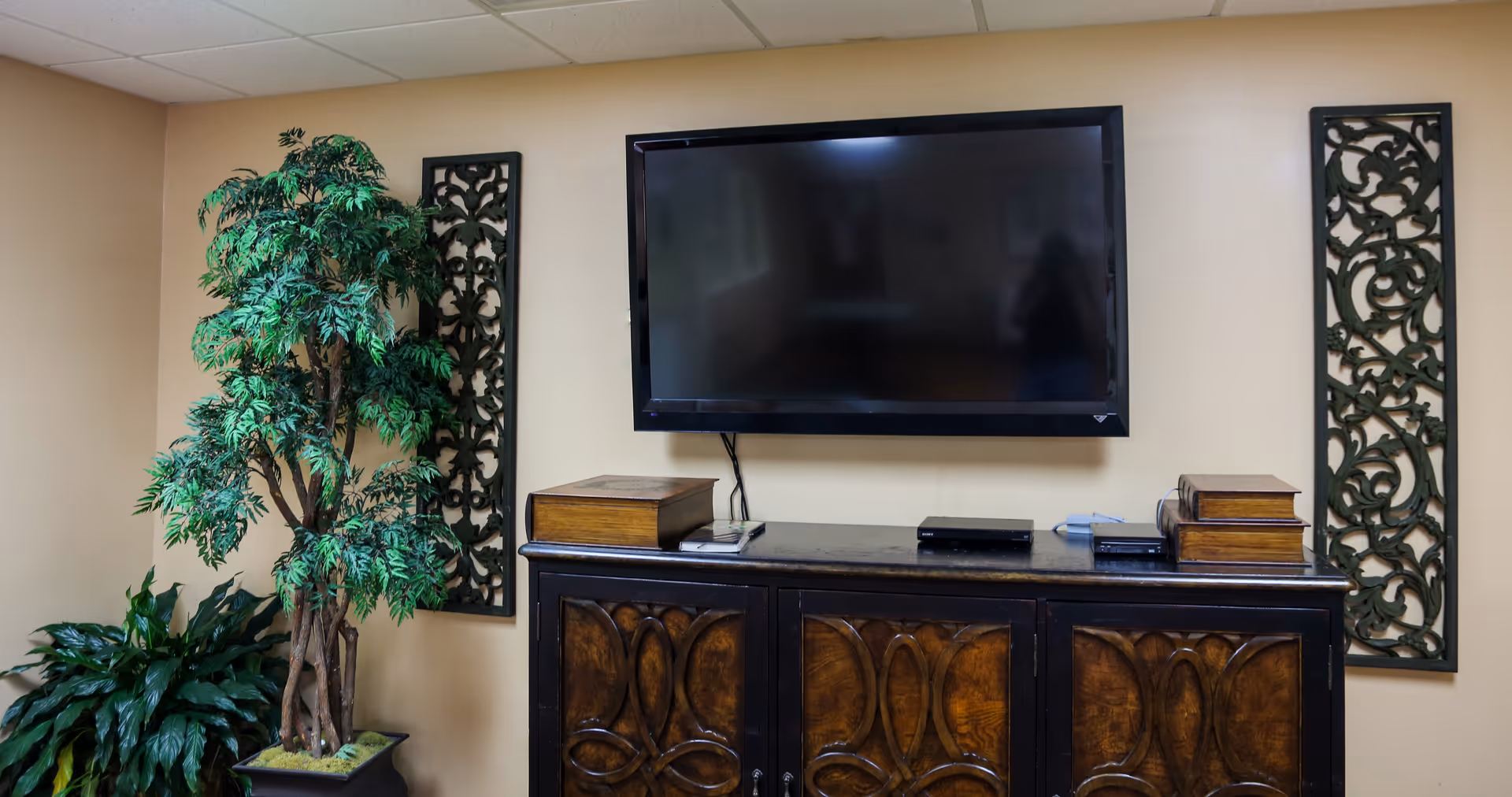 A wall-mounted flat screen TV above a dark wooden cabinet with decorative carved doors. On top of the cabinet are two wooden boxes, a remote control, and some electronic devices. On either side of the TV are two vertical decorative wall panels with intricate scrollwork. To the left of the cabinet are two potted plants, one tall with multiple branches and green leaves, and a smaller leafy plant below it. The walls are painted a light beige color.