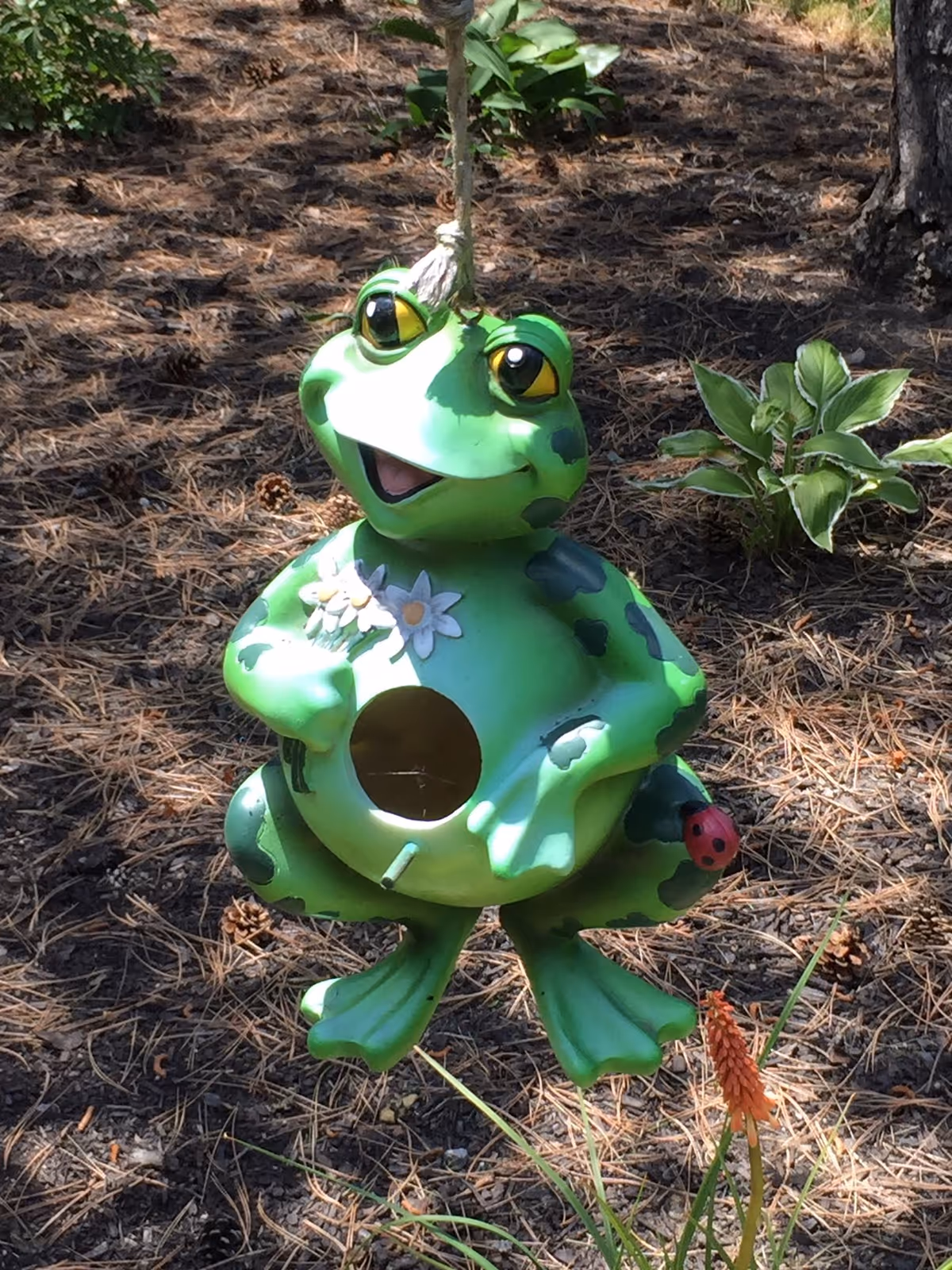 A hanging green frog garden ornament with a round opening, smiling face, and daisy decoration suspended over pine-needle-covered ground.