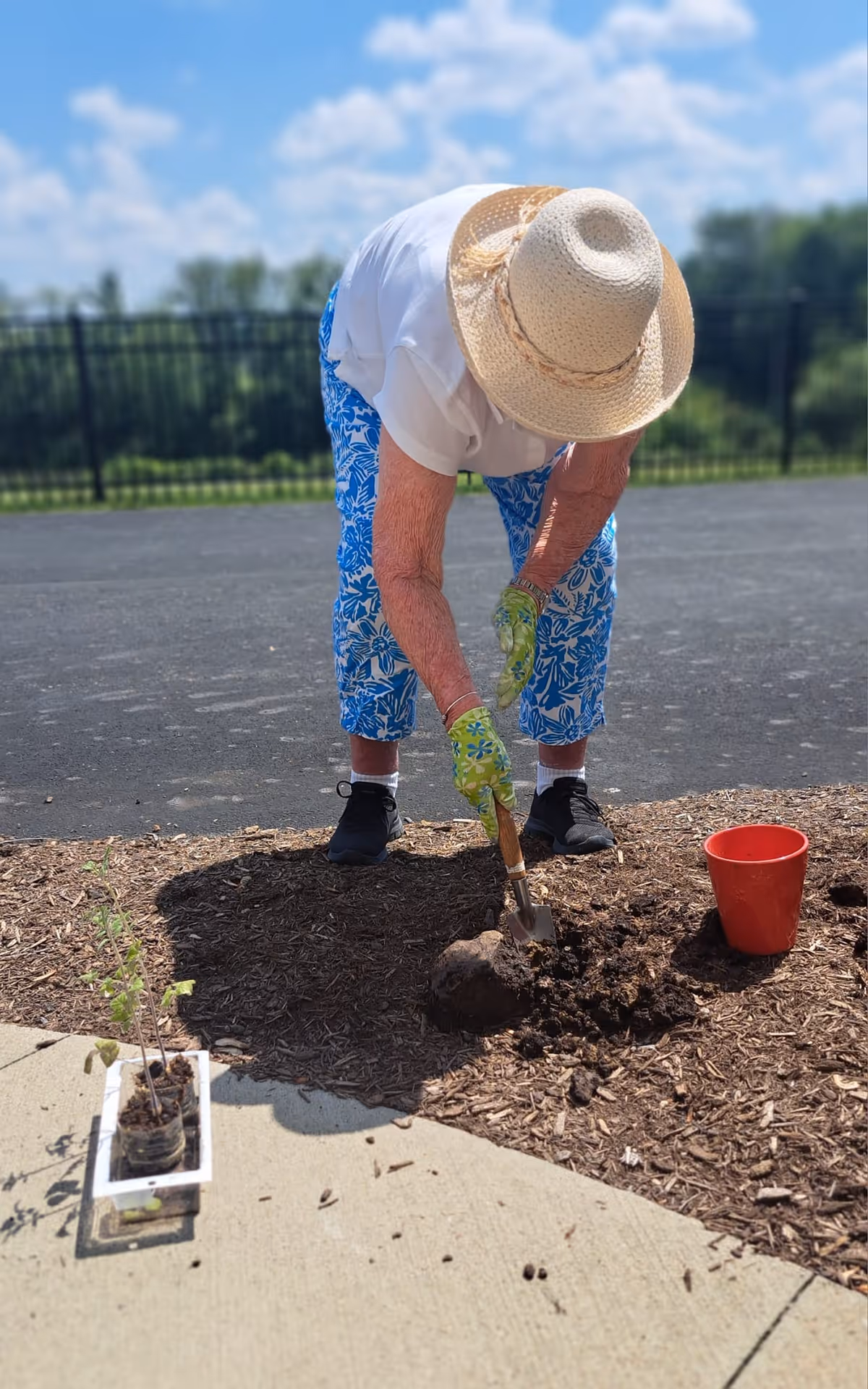 An elderly person wearing a wide-brimmed straw hat, white shirt, blue floral pants, and green gardening gloves is bent over, digging soil with a small shovel in an outdoor garden area. There is a red pot nearby and a small plant in a white container on the concrete edge. A black fence and greenery are visible in the background under a partly cloudy sky.