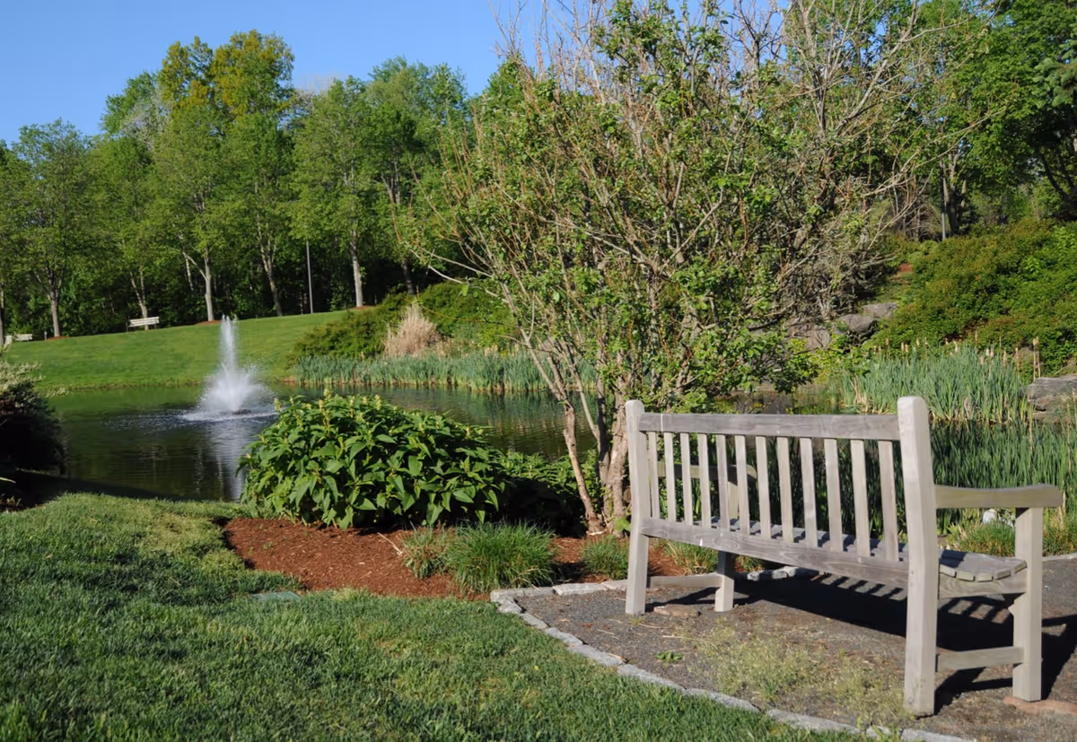A peaceful outdoor garden area featuring a wooden bench facing a small pond with a water fountain. The pond is surrounded by green grass, bushes, and trees under a clear blue sky.