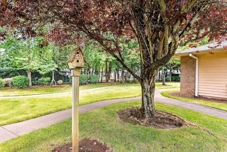 A peaceful outdoor garden area with a tree featuring dark red leaves and a wooden birdhouse mounted on a post. There is a paved walkway curving around the tree and birdhouse, with green grass and other trees and bushes in the background. Part of a beige building with a brown brick corner is visible on the right side.
