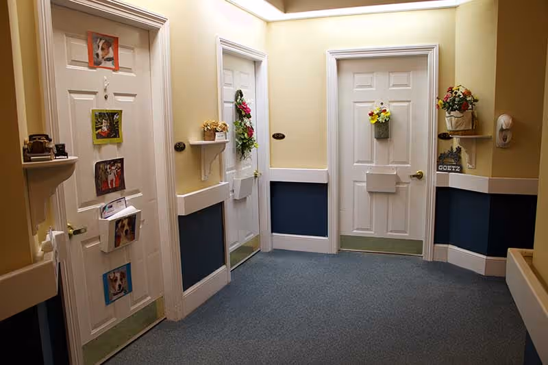 Interior hallway of a senior living facility with three white decorated apartment doors and wall-mounted shelves and decorations.
