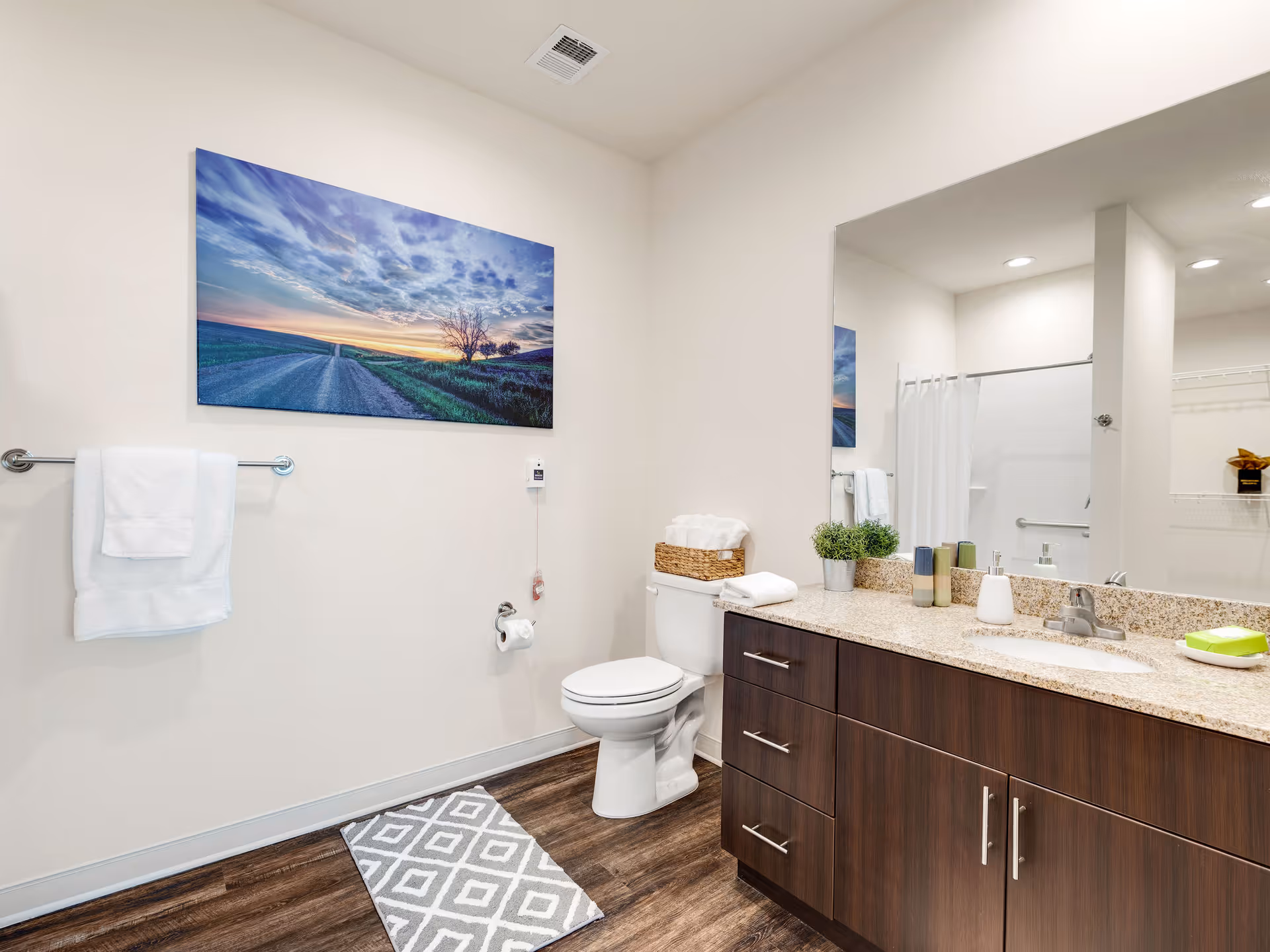Bright accessible bathroom with a toilet, shower with curtain, a long vanity and mirror, towel rack, and landscape wall art.