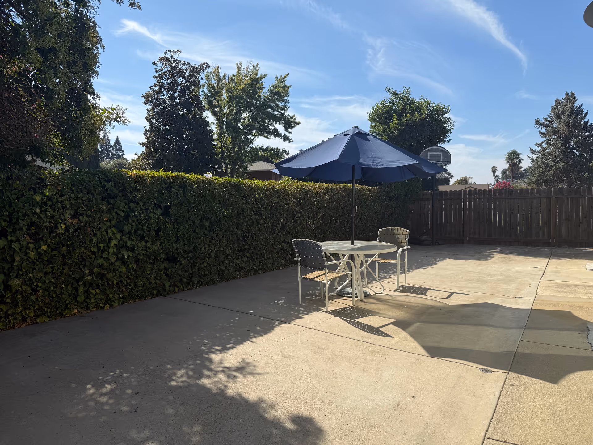 Sunny outdoor patio with a round table, chairs, and a blue umbrella by a hedge and wooden fence.