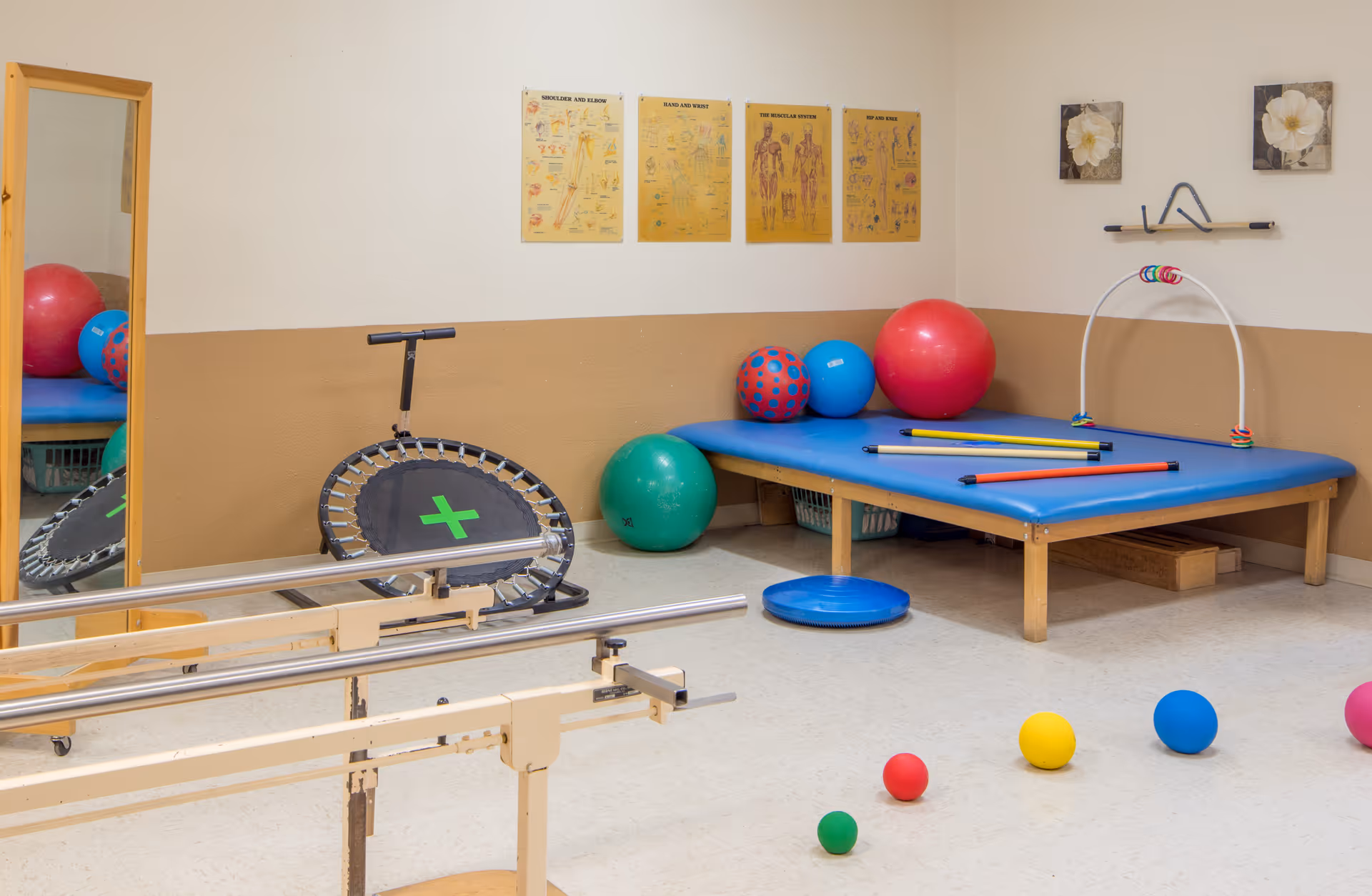 A physical therapy or rehabilitation room with various exercise equipment including a small trampoline, colorful therapy balls, balance discs, and parallel bars. The room has a large mirror on one wall, anatomical charts, and framed flower pictures on the walls.