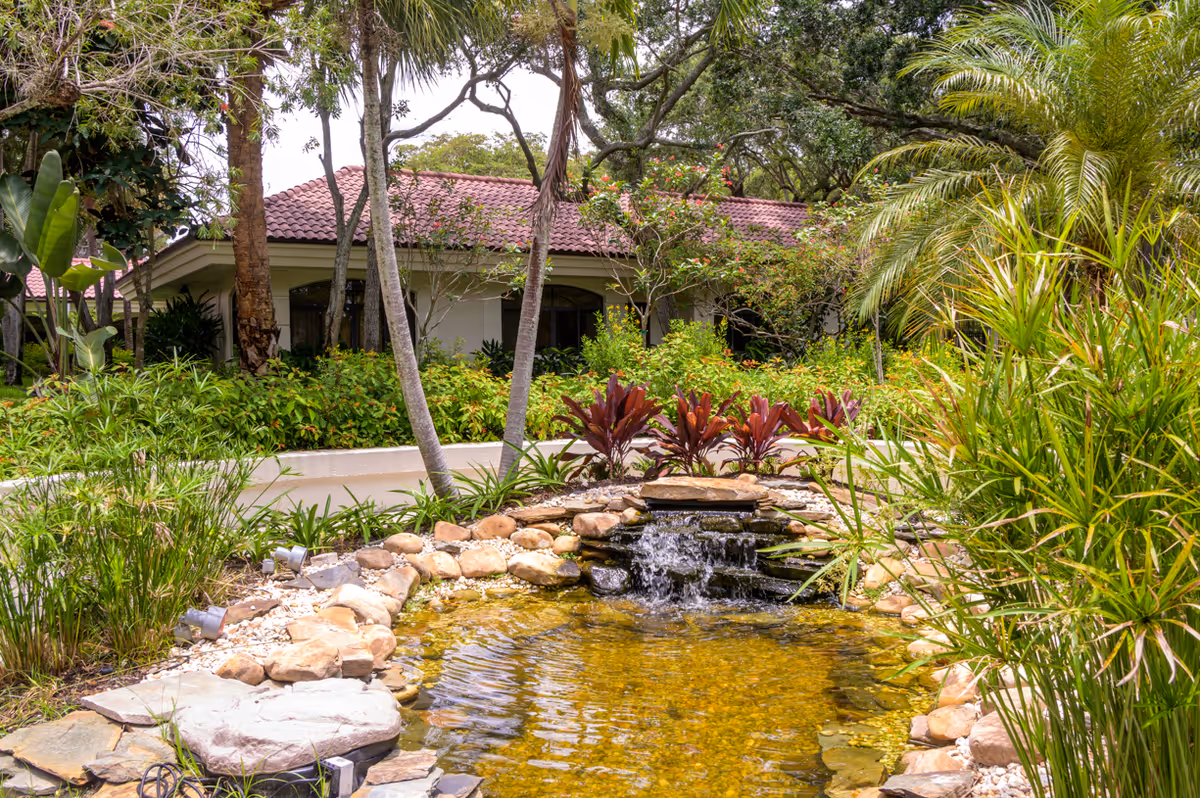 A serene outdoor garden area with a small pond featuring a rock waterfall surrounded by lush greenery, palm trees, and various plants. In the background, there is a building with a red-tiled roof partially visible through the foliage.