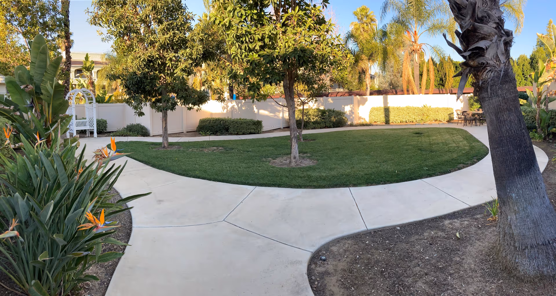 A landscaped outdoor garden area with a curved concrete walkway surrounding a grassy lawn. There are several trees, including palm trees, and flowering plants with orange blossoms. A white bench with an arch is visible near the back fence, and there is a seating area with a table and chairs in the background. The area is enclosed by a white fence and surrounded by various shrubs and greenery.