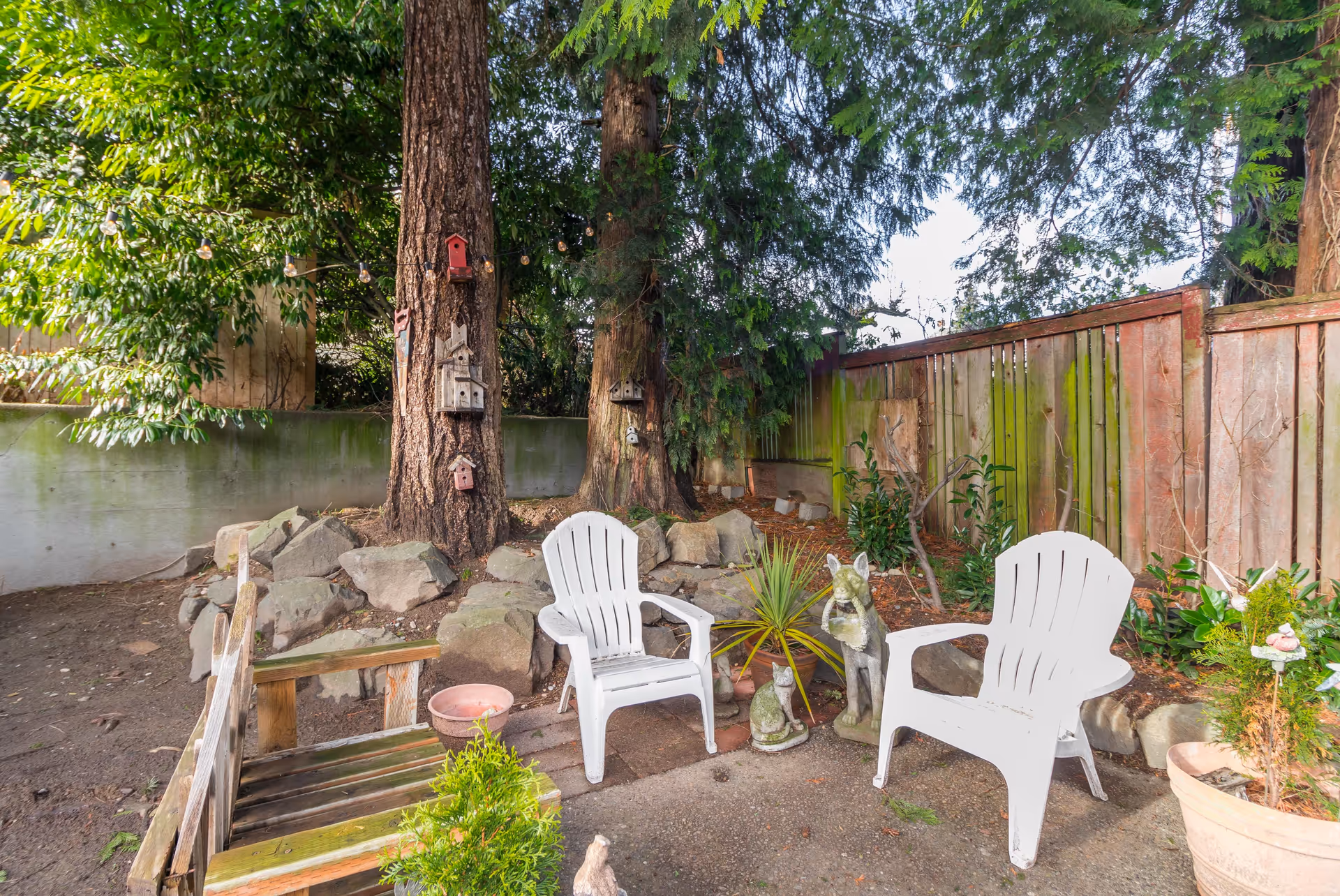 Small shaded backyard seating area with two white plastic chairs, a wooden bench, birdhouses on tree trunks, potted plants and a wooden fence.