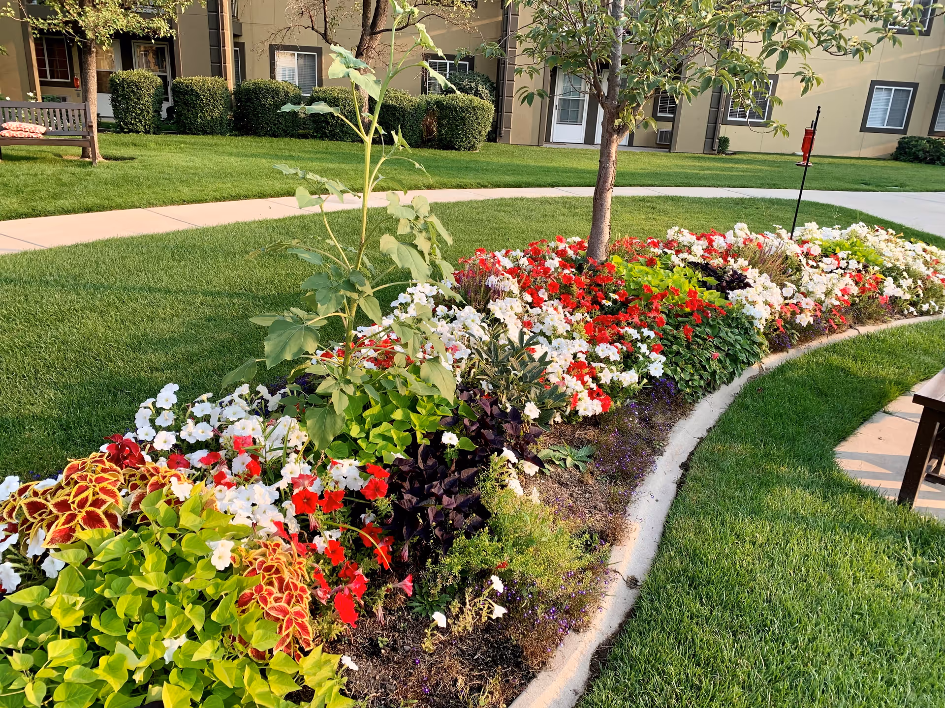 A landscaped garden area with a curved flower bed filled with various colorful flowers including red, white, and purple blooms. There is a small tree in the flower bed and well-maintained green grass surrounding it. In the background, there is a beige building with windows and doors, and a wooden bench is partially visible on the right side.